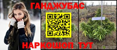 гидра Краснознаменск